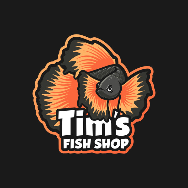 Tim's Fish Shop